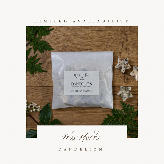 Dandelion Jelly | Wax Melts Set